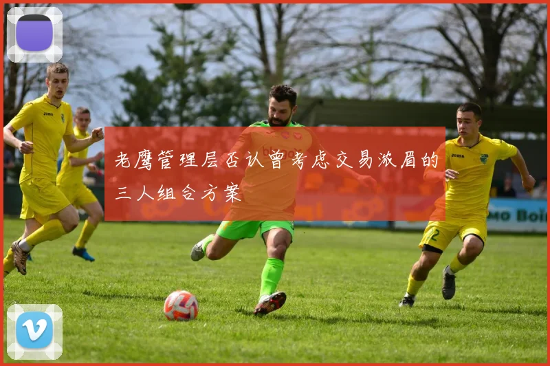 老鹰管理层否认曾考虑交易浓眉的三人组合方案