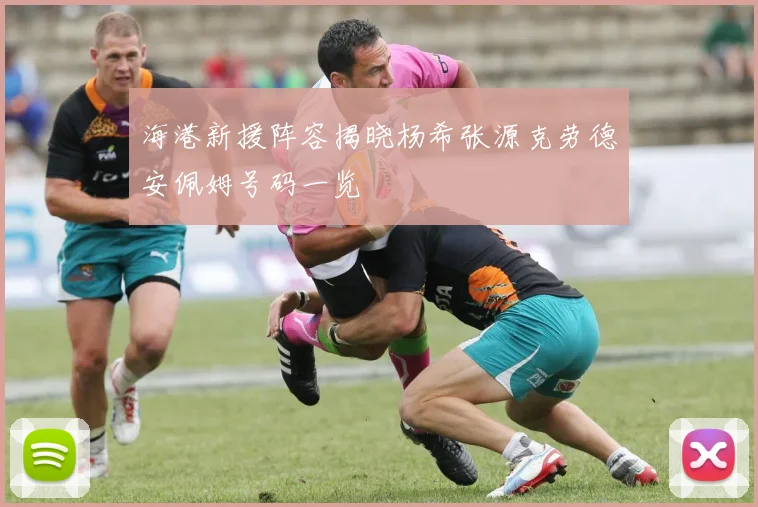 海港新援阵容揭晓杨希张源克劳德安佩姆号码一览