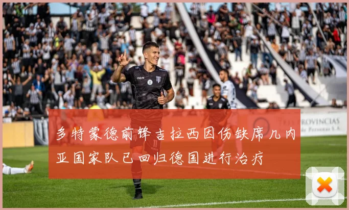 多特蒙德前锋吉拉西因伤缺席几内亚国家队已回归德国进行治疗