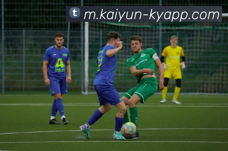 开云体育APP 封面图