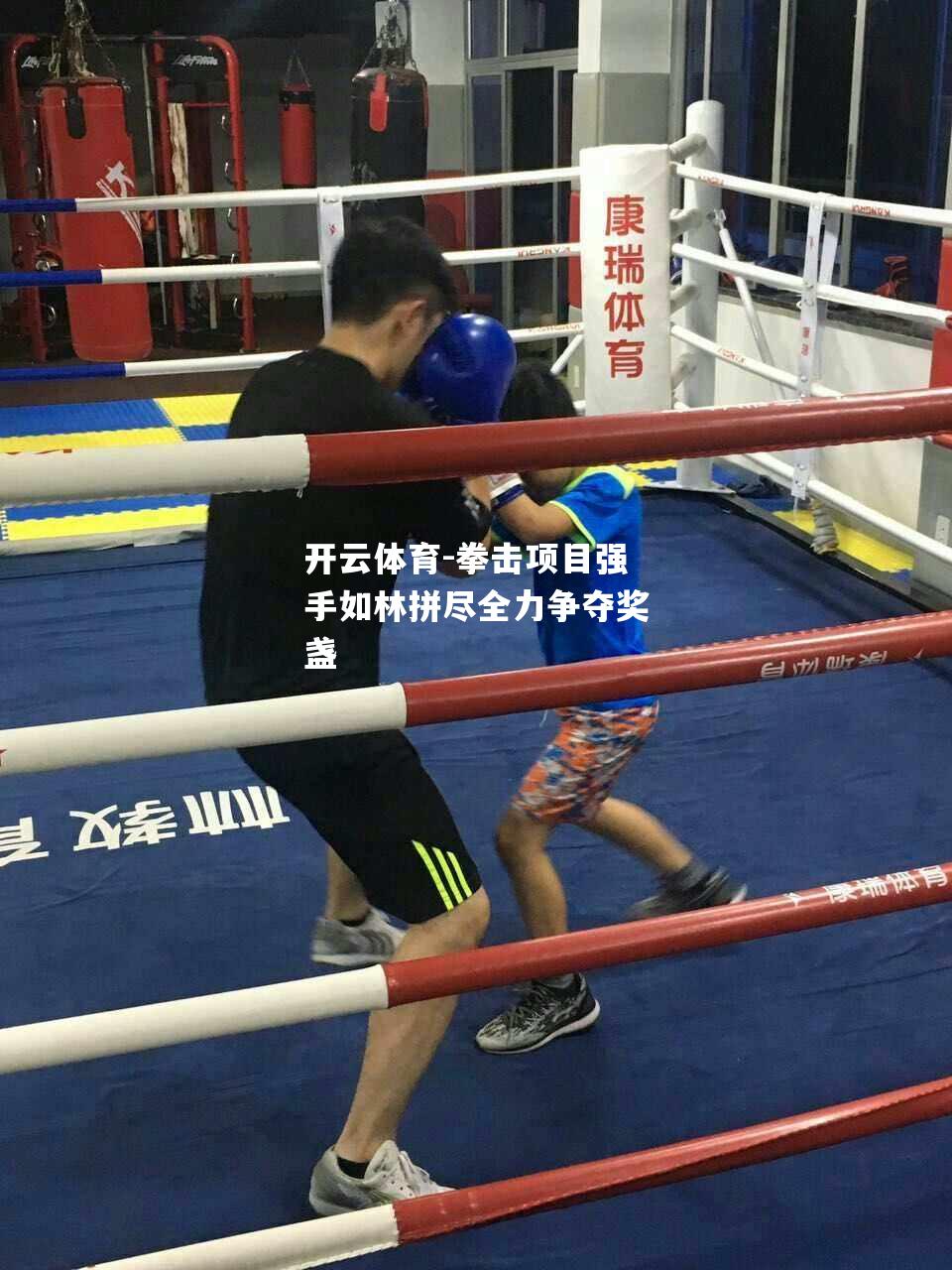 拳击项目强手如林拼尽全力争夺奖盏